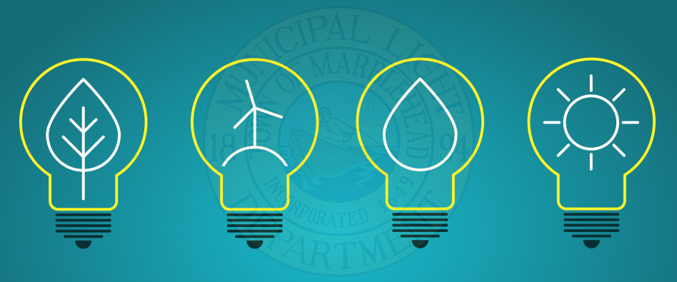 renewable energy graphic with icons