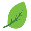 Eco Leaf icon